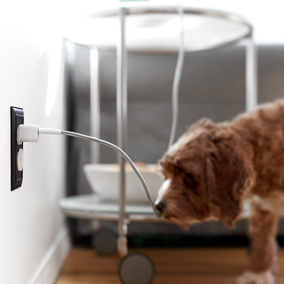 FUSECHICKEN Titan Lightning Kabel iPhone