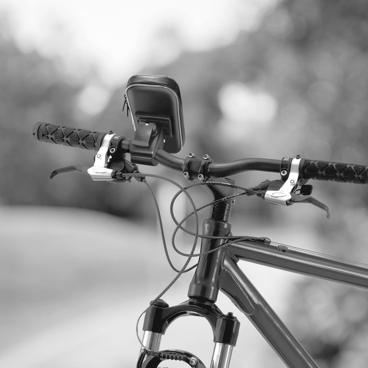 CELLY FlexBike XXXL Fahrradhalterung