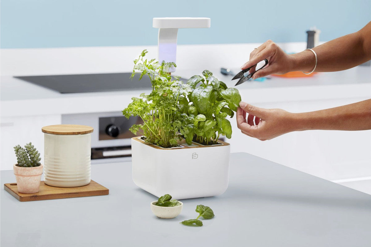 BOTANEO Eylo Indoor Herb Garden white + 2 packs