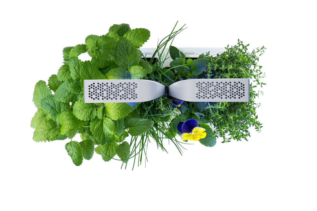 VERITABLE SMART indoor garden white incl. 4 packs