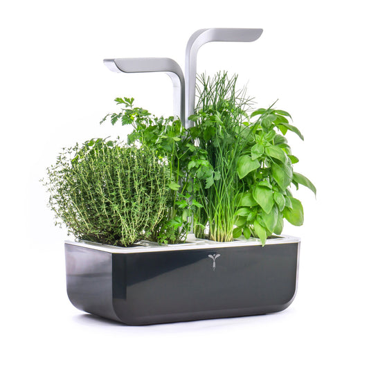 VERITABLE SMART indoor garden black incl. 4 packs