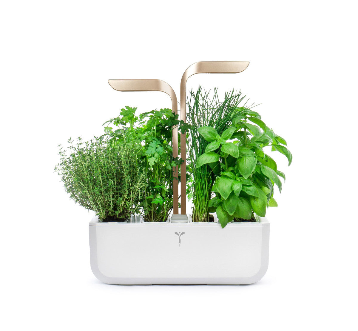 VERITABLE CONNECT Indoor Garden gold incl. 4 packs