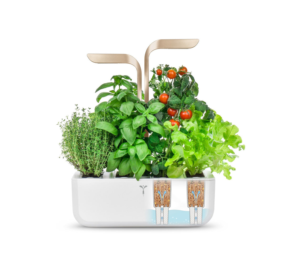 VERITABLE CONNECT Indoor Garden gold incl. 4 packs
