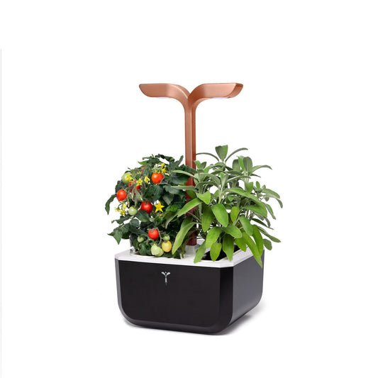 VERITABLE Exky SMART Indoor Garden copper. + 2 packs