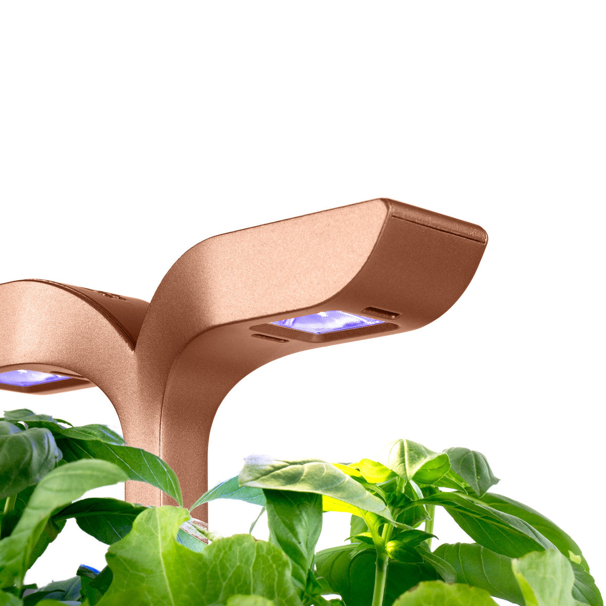 VERITABLE Exky SMART Indoor Garden copper. + 2 packs