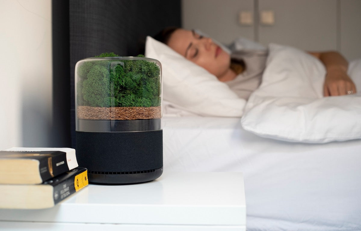 BRIIV Triple Filter Natural Air Purifier with App