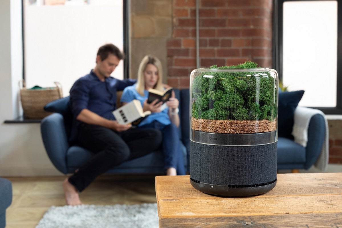 BRIIV Triple Filter Natural Air Purifier with App
