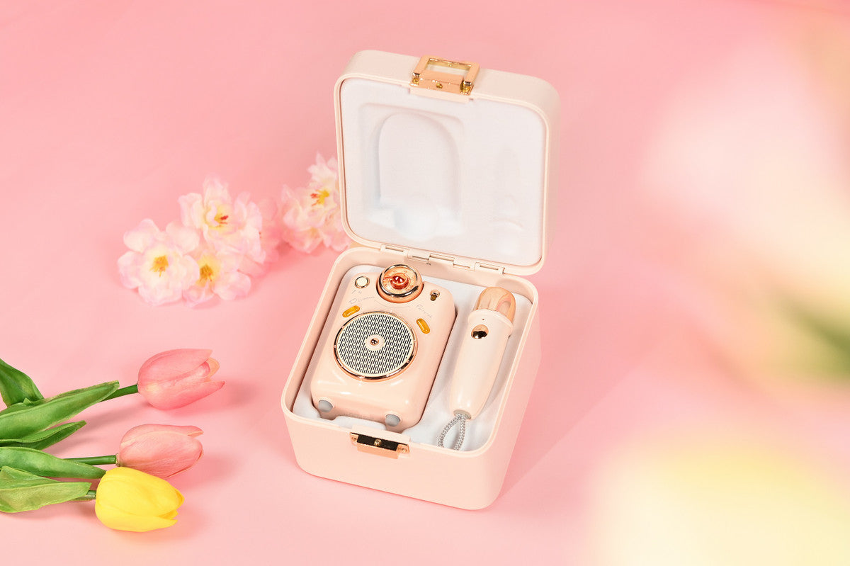 DIVOOM Fairy-OK BT Lautsprecher mit Mikro pink