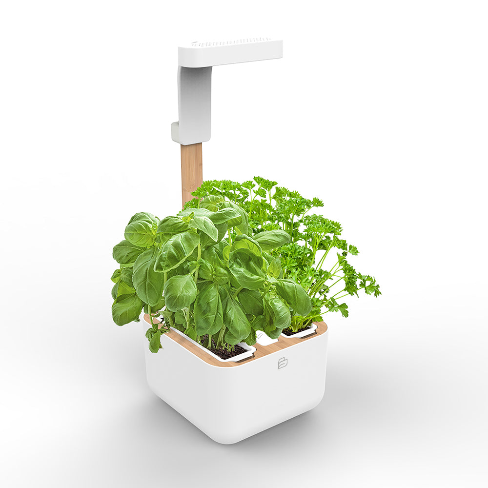 BOTANEO Eylo Indoor Herb Garden white + 2 packs