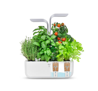 VERITABLE SMART Indoor Garten weiß inkl 4 Packs