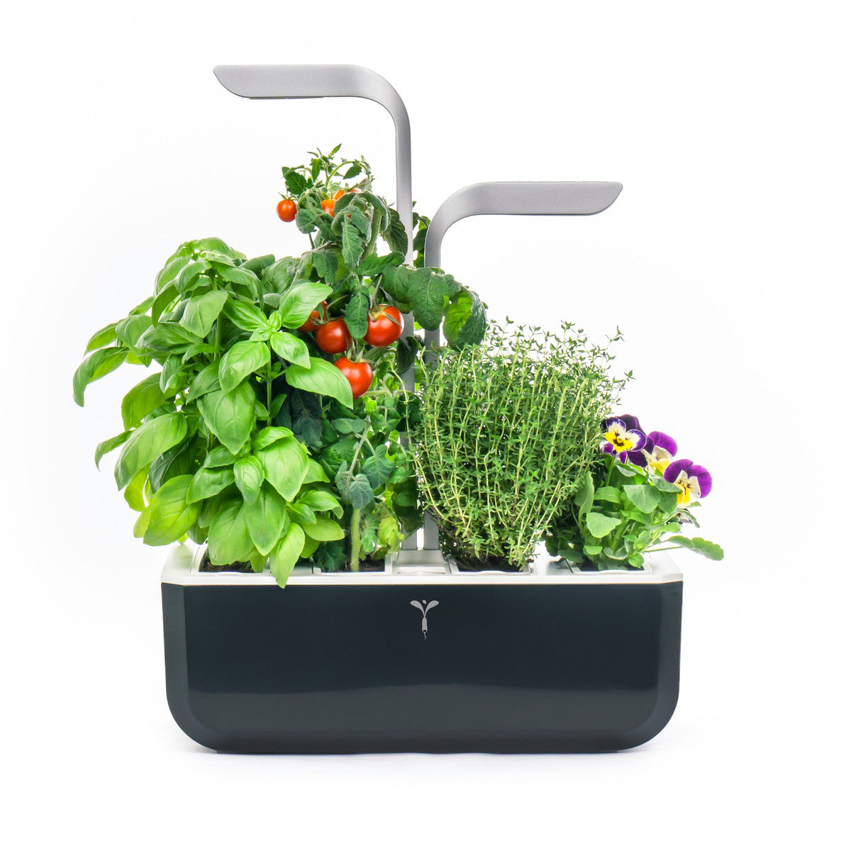 VERITABLE SMART Indoor Garten schwarz inkl 4 Packs