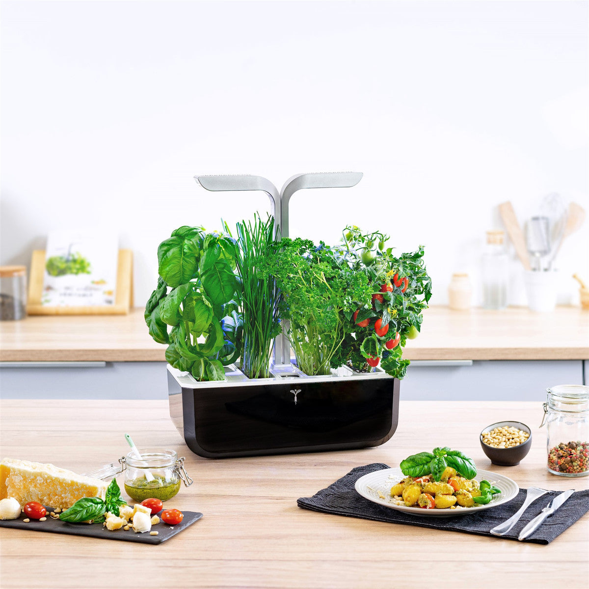 VERITABLE SMART Indoor Garten schwarz inkl 4 Packs