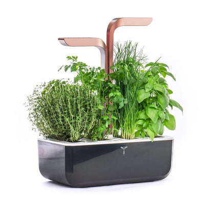 VERITABLE SMART Indoor Garten kupfer inkl 4 Packs