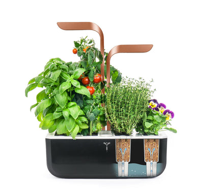 VERITABLE SMART Indoor Garten kupfer inkl 4 Packs