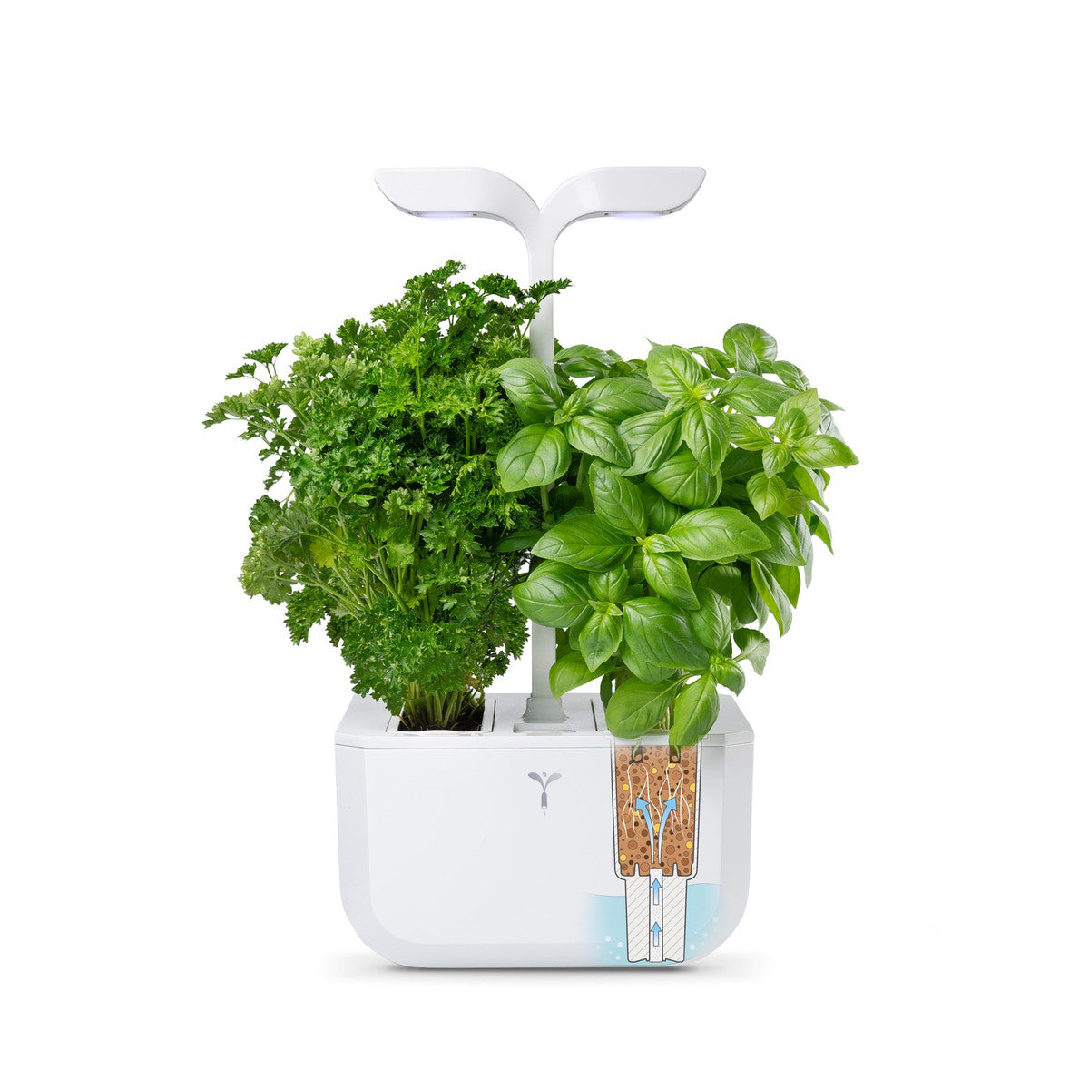 VERITABLE Exky CLASSIC Indoor Garten inkl 2 Packs