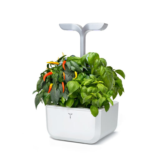 VERITABLE Exky SMART Indoor Garten weiß + 2 Packs