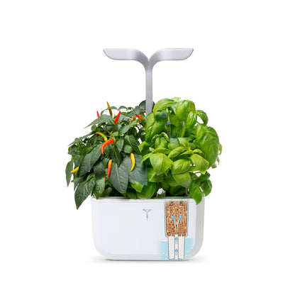 VERITABLE Exky SMART Indoor Garten weiß + 2 Packs