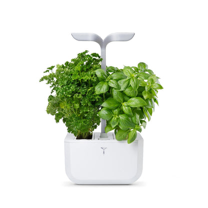 VERITABLE Exky SMART Indoor Garten weiß + 2 Packs