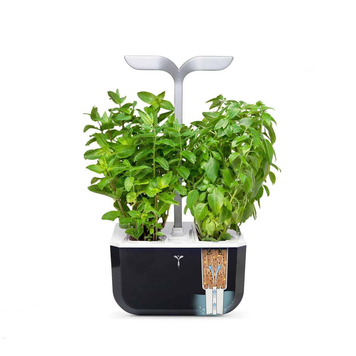 VERITABLE Exky SMART Indoor Garten sw + 2 Packs