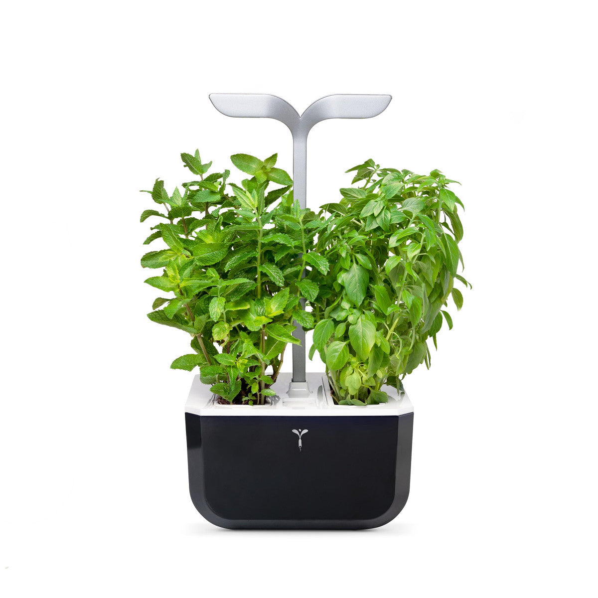 VERITABLE Exky SMART Indoor Garten sw + 2 Packs