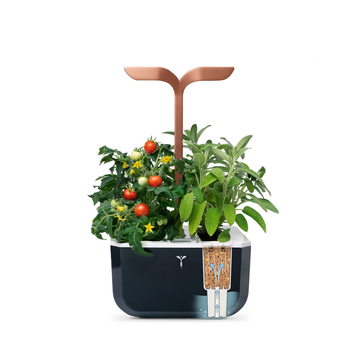 VERITABLE Exky SMART Indoor Garden copper. + 2 packs