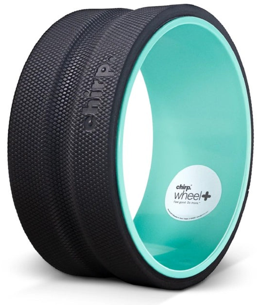 CHIRP 25,4 cm Wheel Plus  Fest